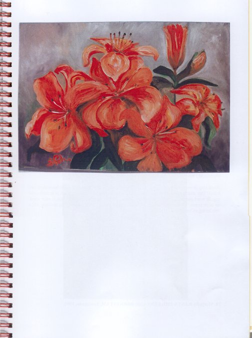 Catalogus